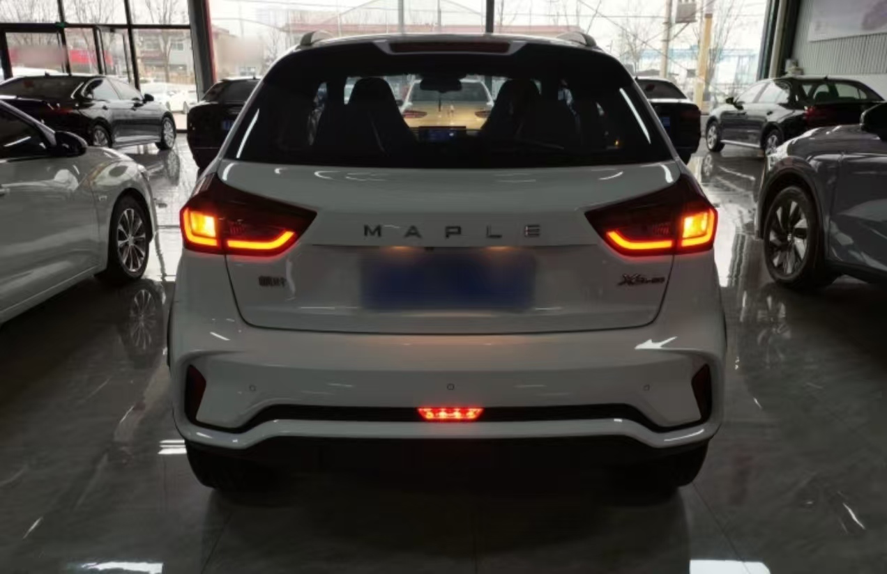 睿蓝汽车 睿蓝汽车X3 PRO 2023 汽车图片 #4