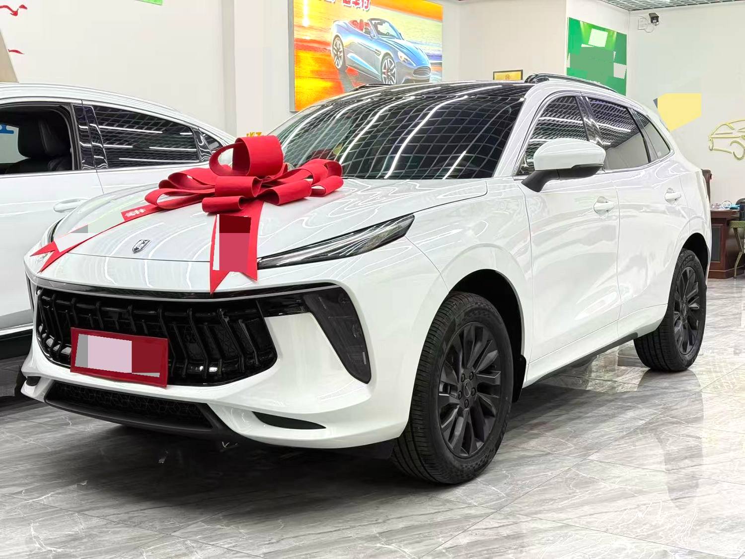 Forthing T5 EVO 2023 car image 