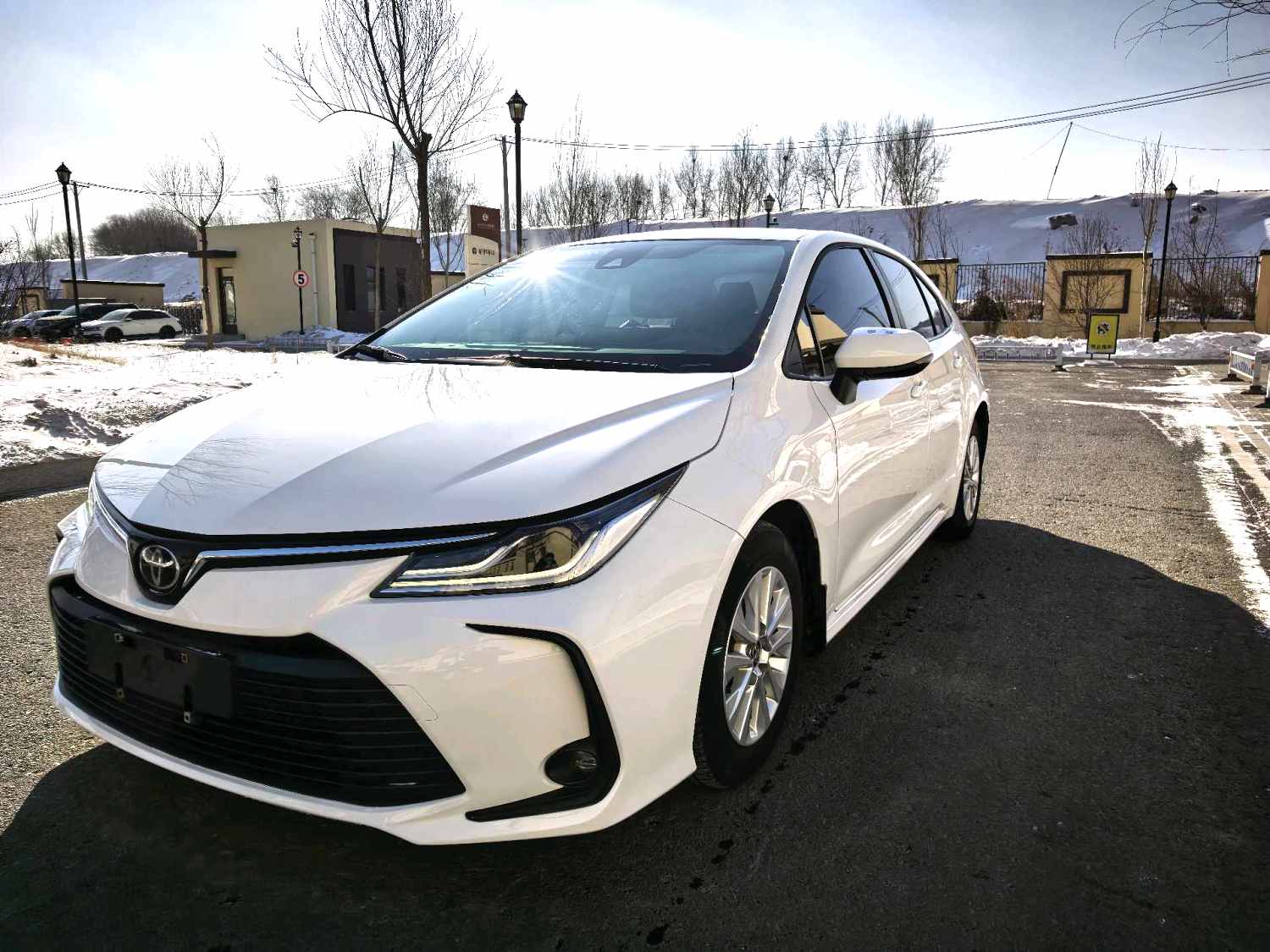 Toyota Corolla 2023 car image 
