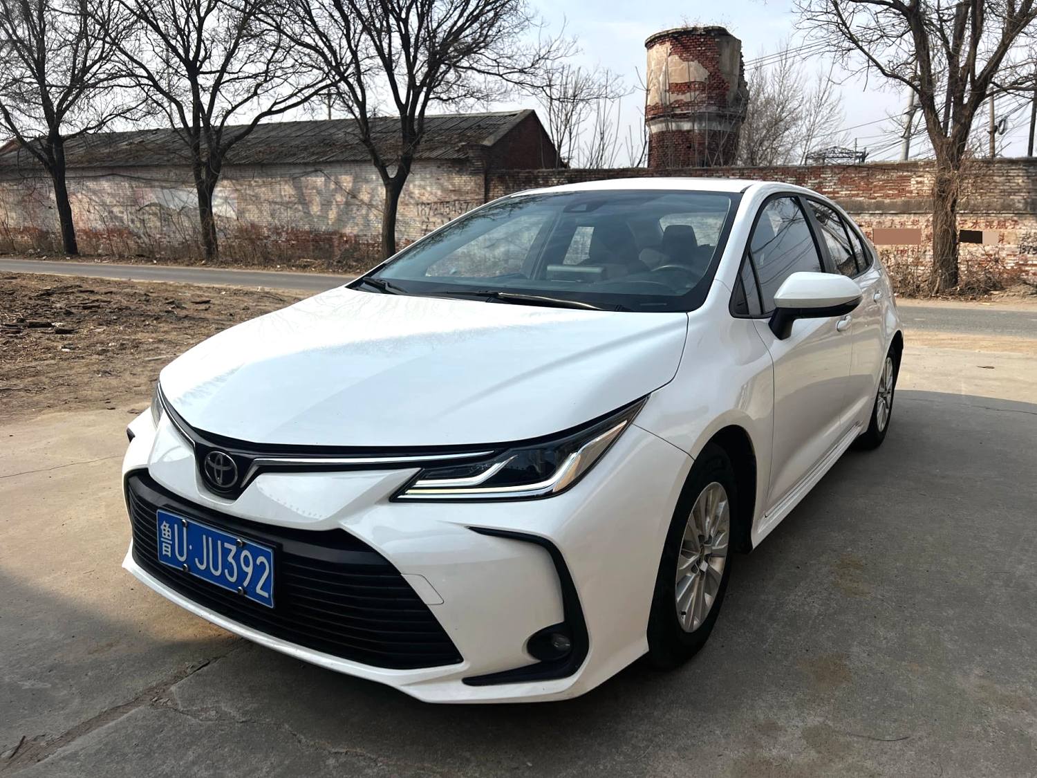 Toyota Corolla 2023 car image 