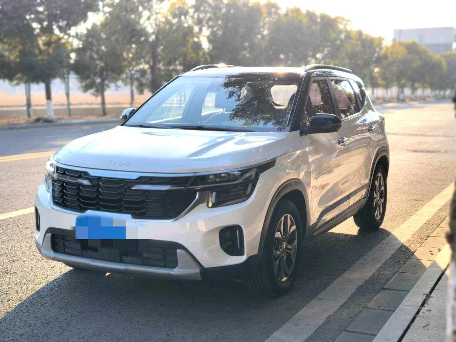 Kia Seltos 2024 汽车图片 