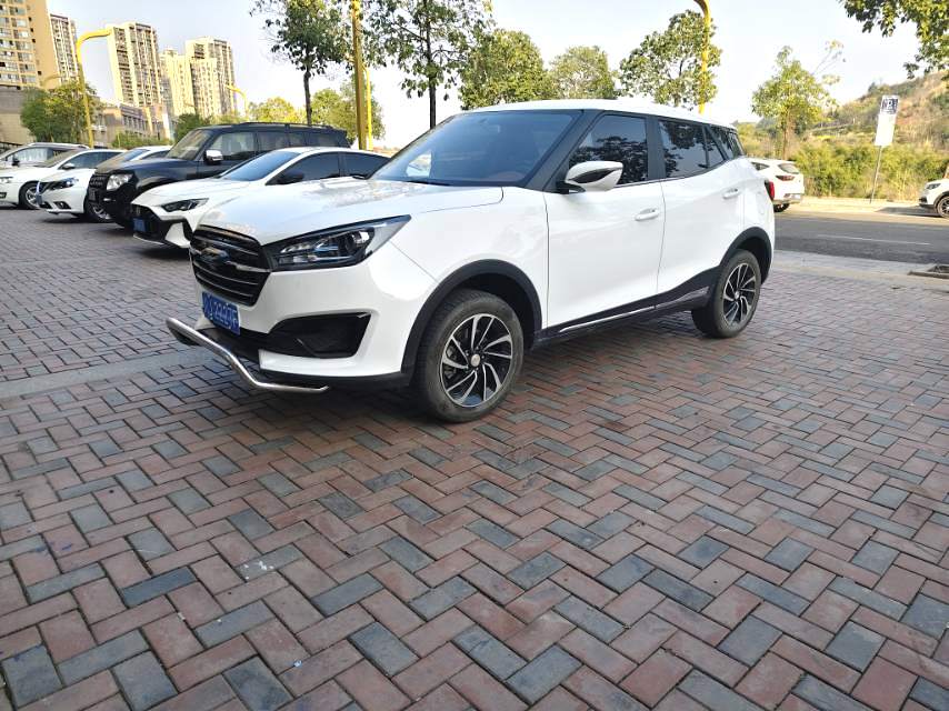 Zotye T300 2023 汽车图片 