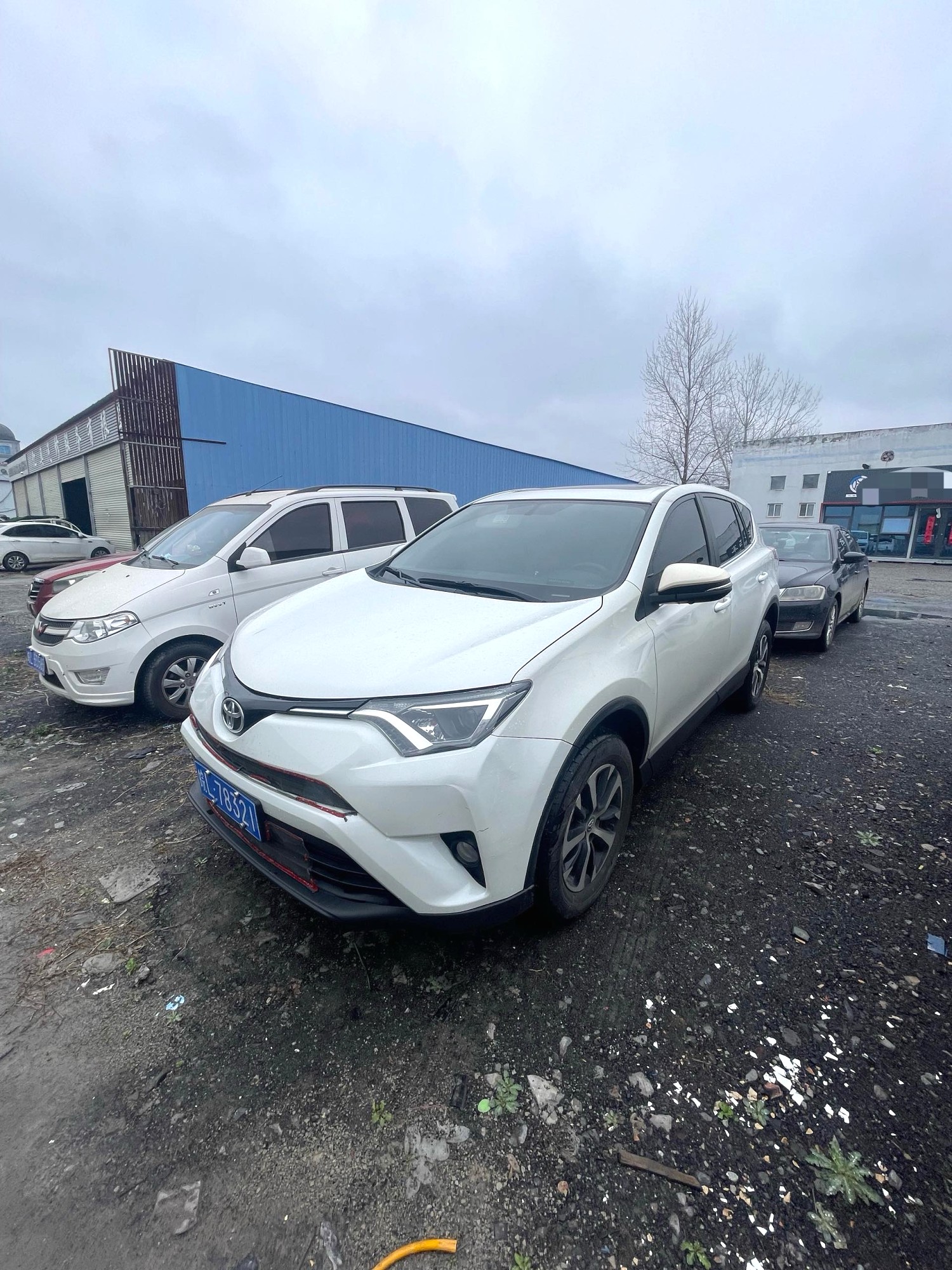 Toyota RAV4 2019 car image 