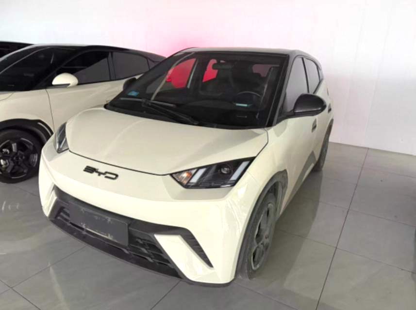 BYD Seagull 2024 汽车图片 