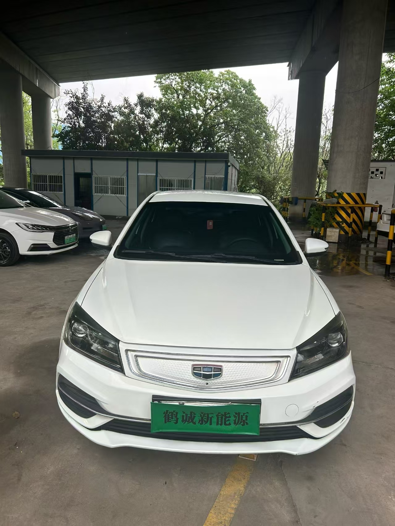 GEELY Emgrand New Energy 2019 car image #6