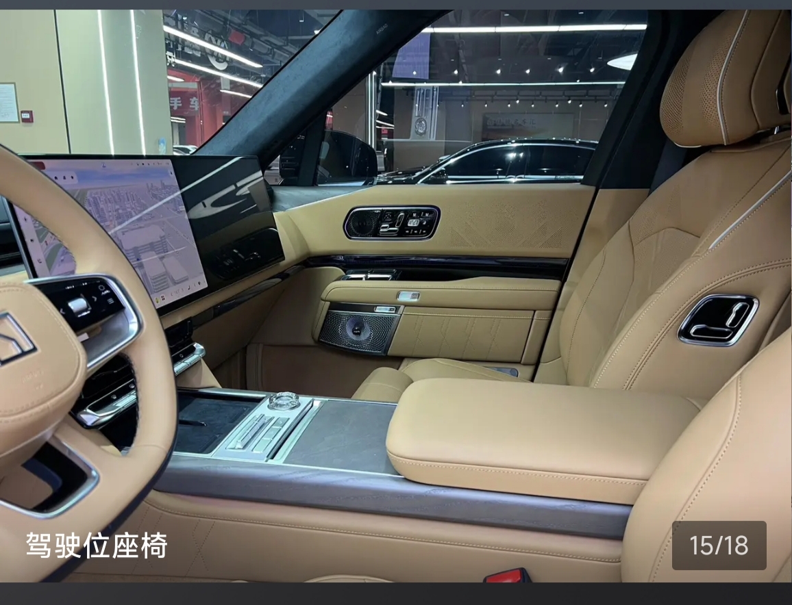 Zeekr 9X 2025 car image #16