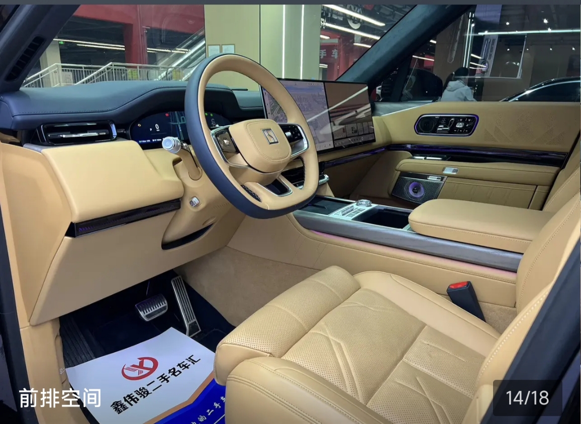 Zeekr 9X 2025 car image #13