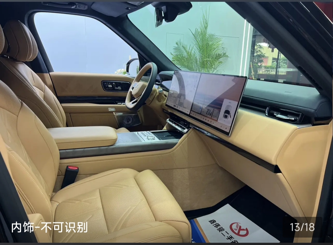 Zeekr 9X 2025 car image #14