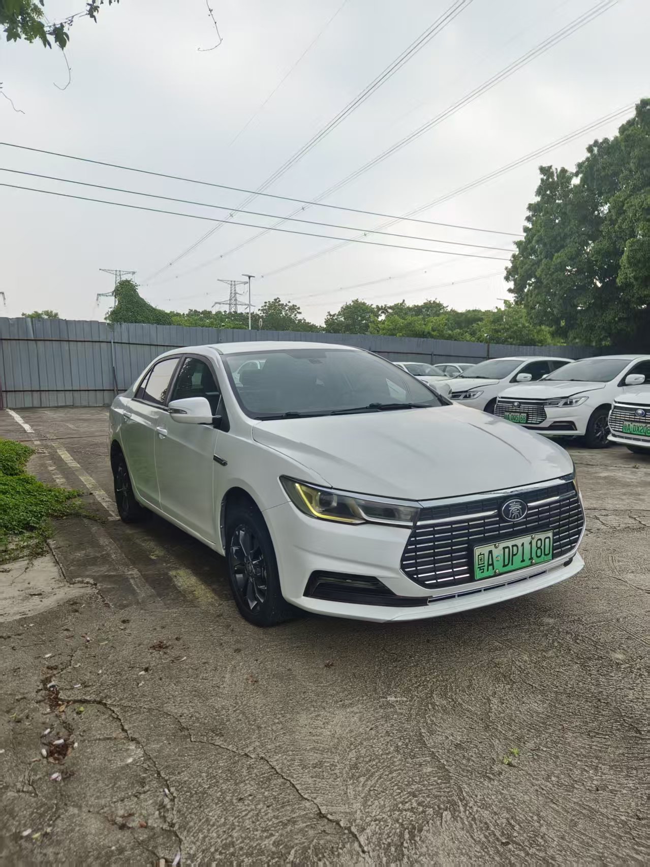 BYD Qin New Energy 2021 car image #8