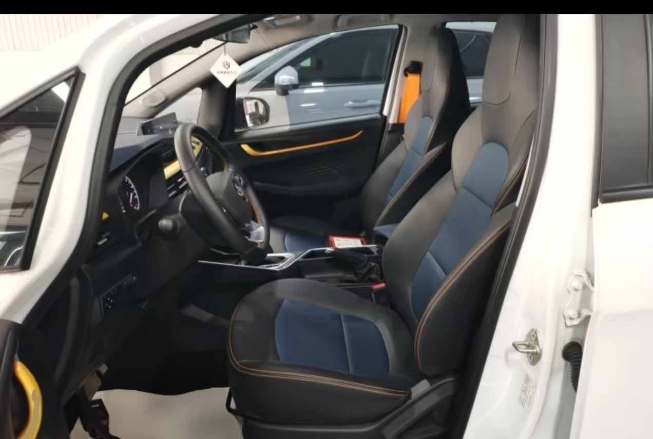 睿蓝汽车 睿蓝汽车X3 PRO 2023 汽车图片 #5