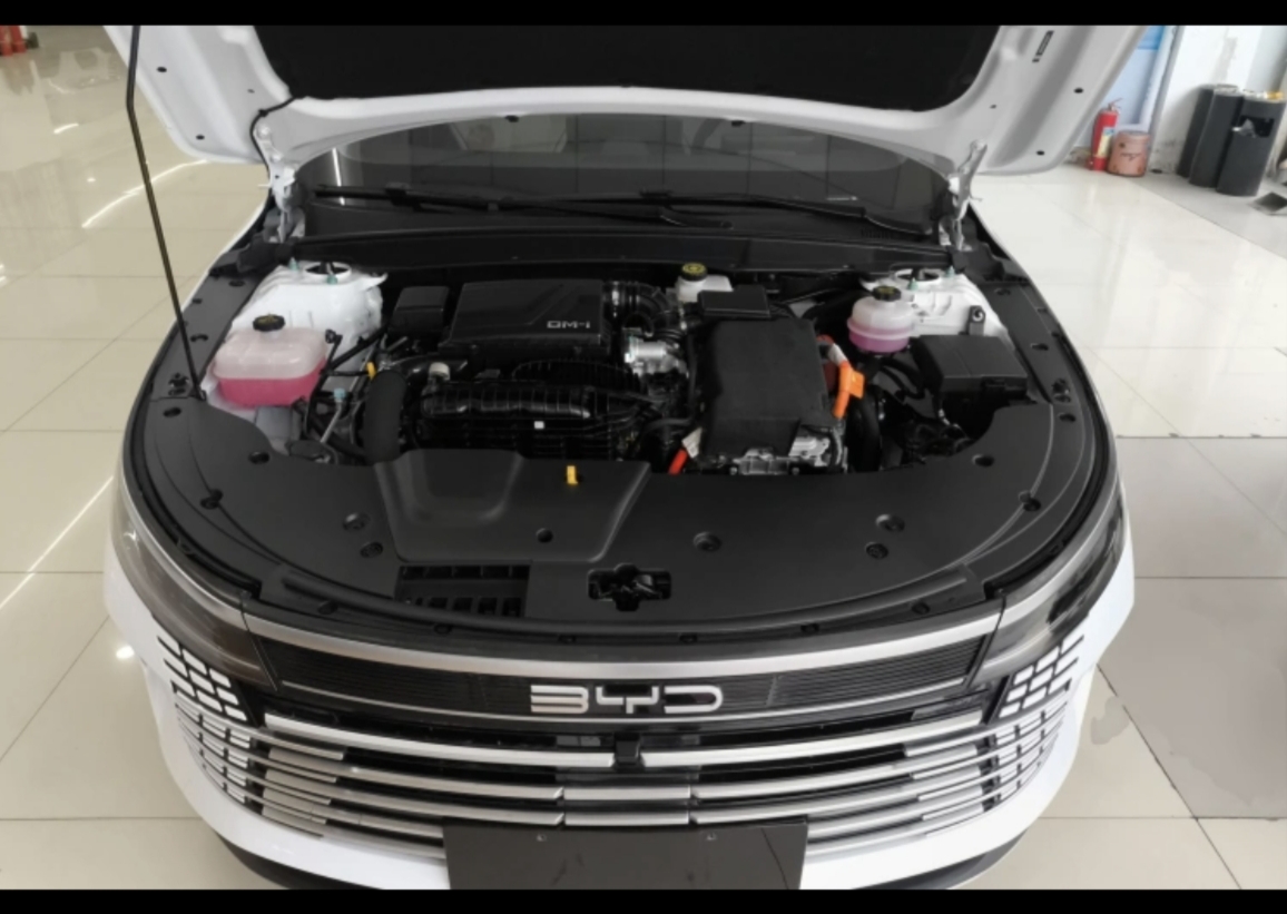 BYD Destroyer 05 2024 car image #14