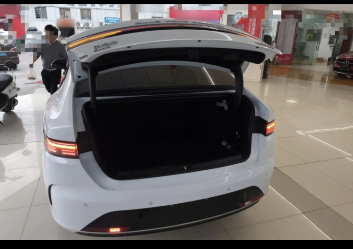 BYD Destroyer 05 2024 car image #21