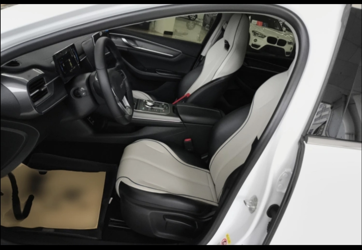 BYD Destroyer 05 2024 car image #17