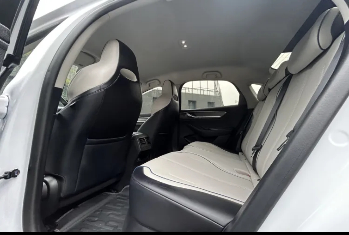 BYD Destroyer 05 2024 car image #6