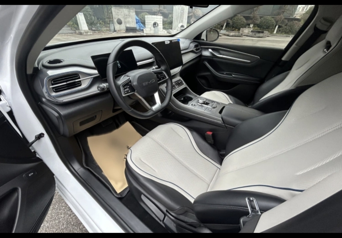 BYD Destroyer 05 2024 car image #10