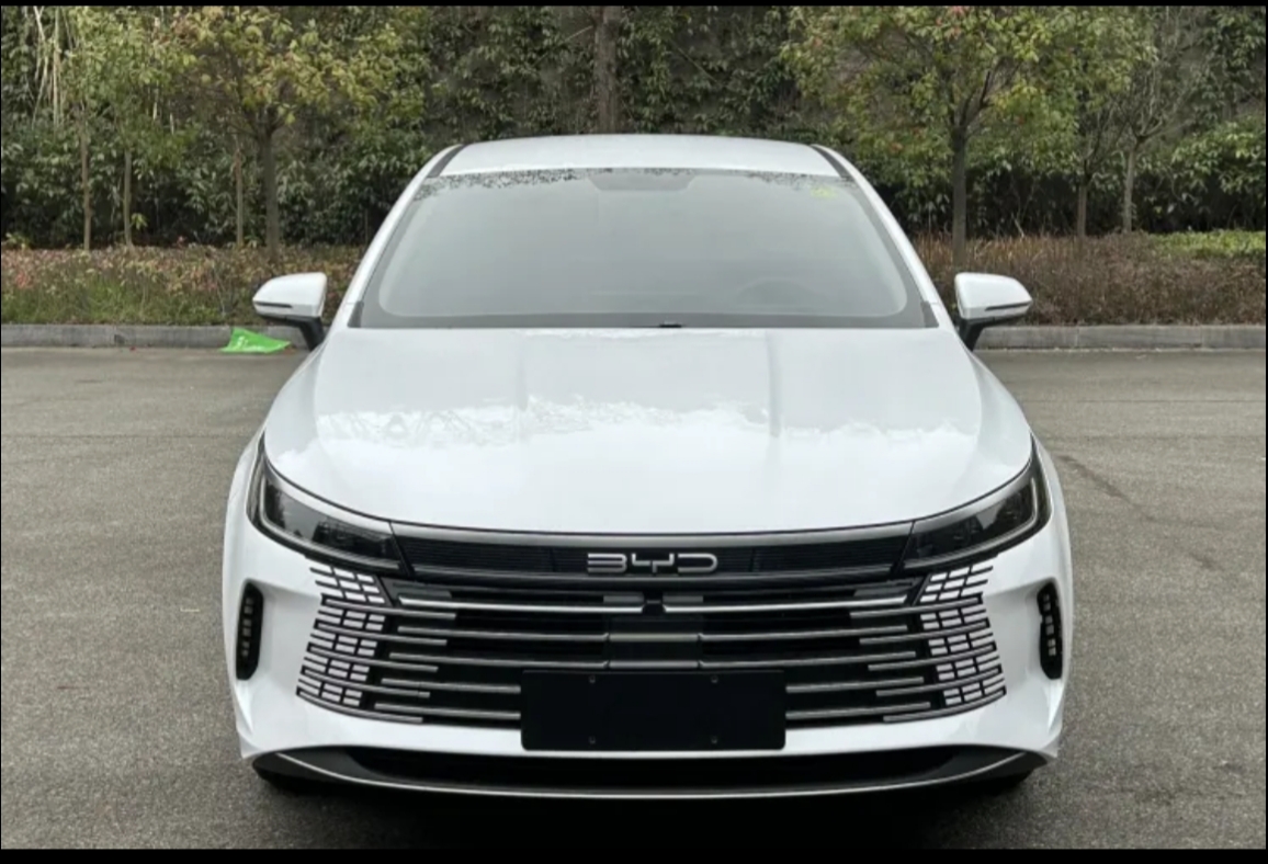 BYD Destroyer 05 2024 car image #5