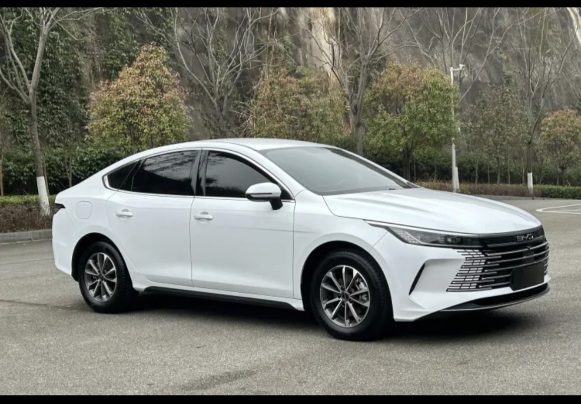 BYD Destroyer 05 2024 car image #9