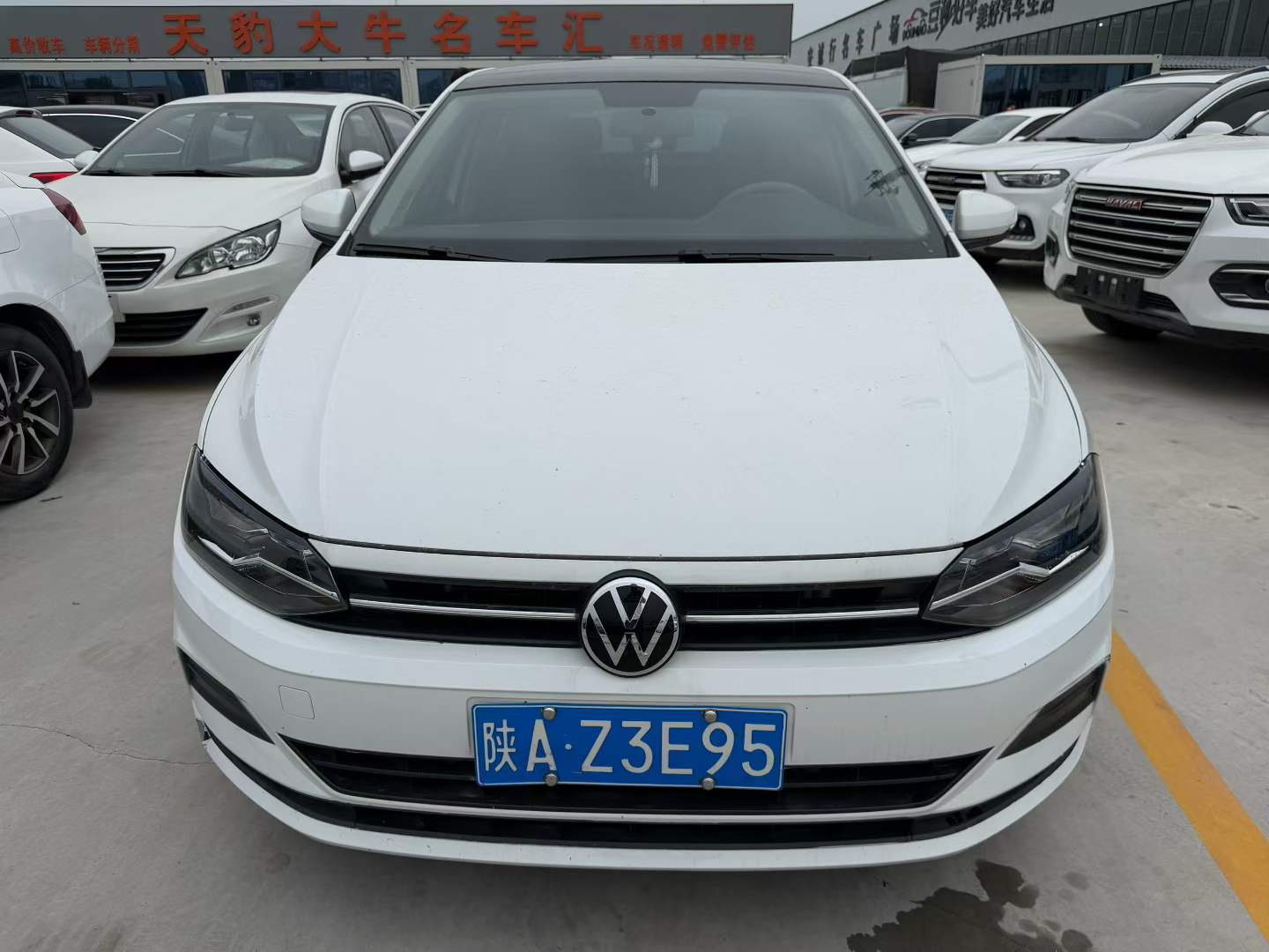 Volkswagen Polo 2023 car image 