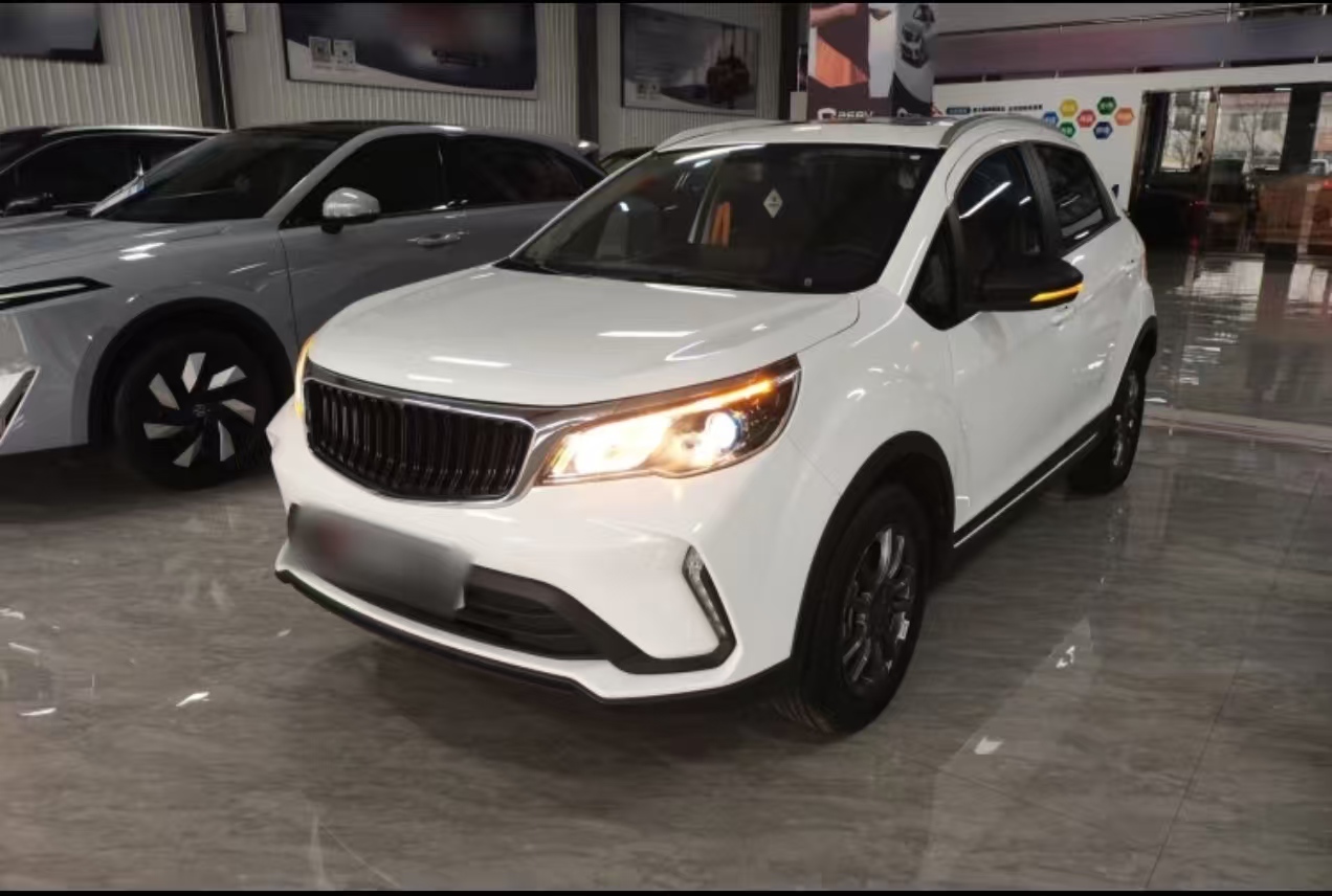 睿蓝汽车 睿蓝汽车X3 PRO 2023 汽车图片 #9