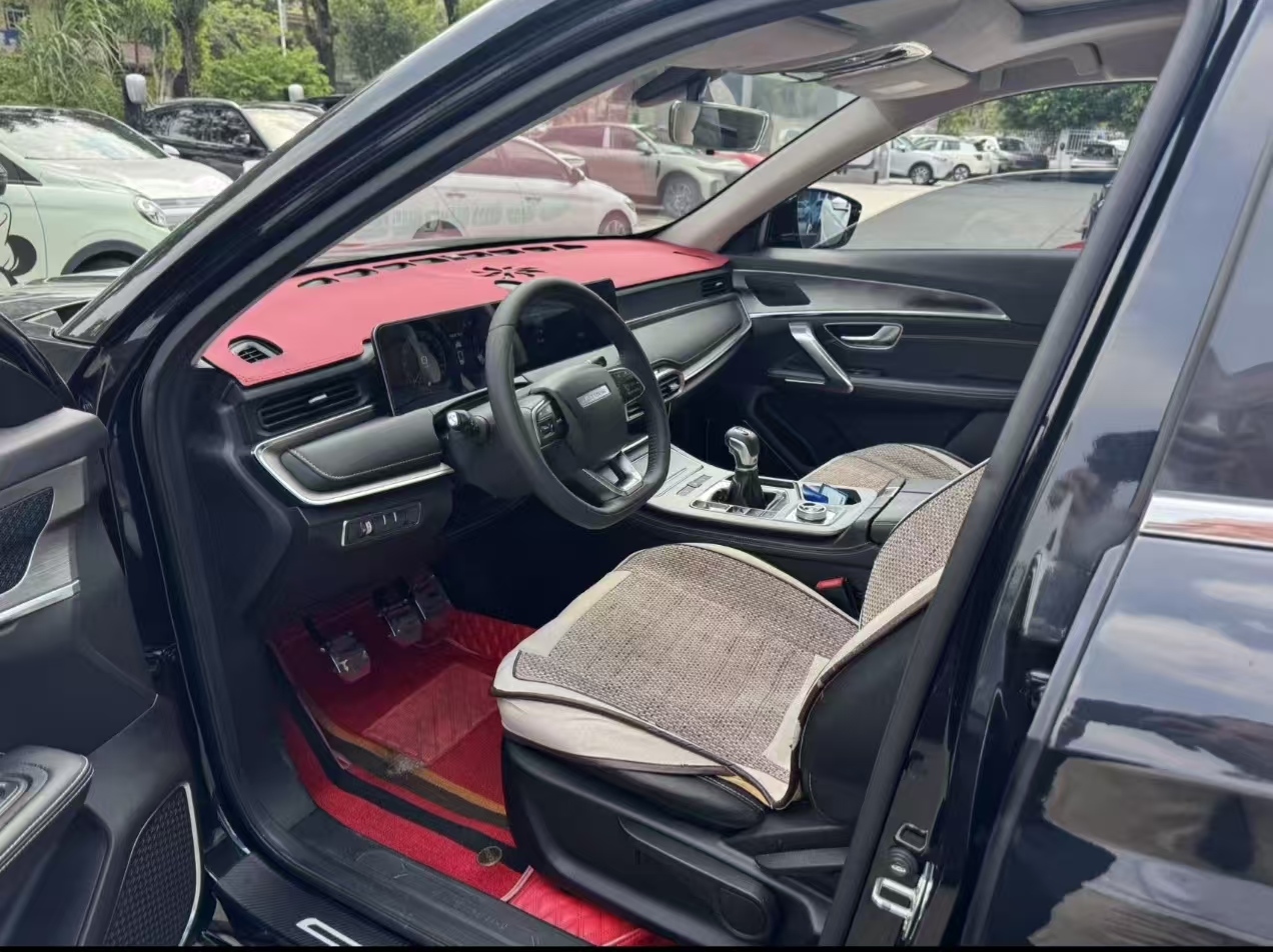 Jetour X70 PLUS 2020 car image #6