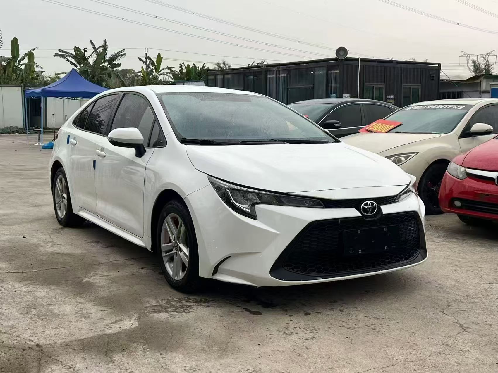 Toyota Corolla 2023 car image #2