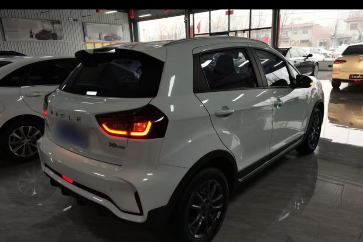 睿蓝汽车 睿蓝汽车X3 PRO 2023 汽车图片 #8