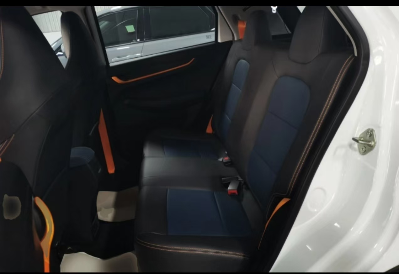 睿蓝汽车 睿蓝汽车X3 PRO 2023 汽车图片 #6