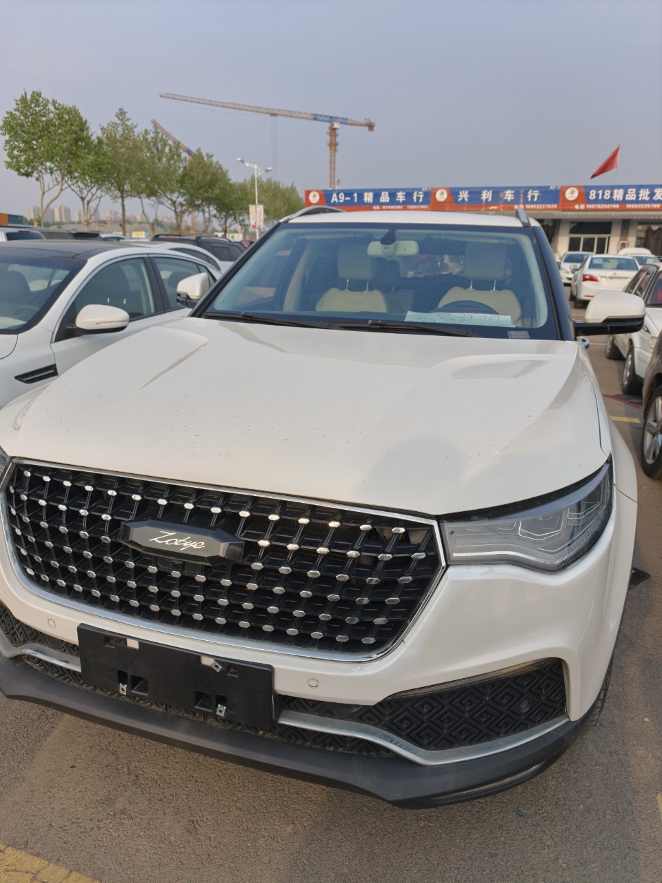 Zotye 2017 Zotye 2017 汽车图片