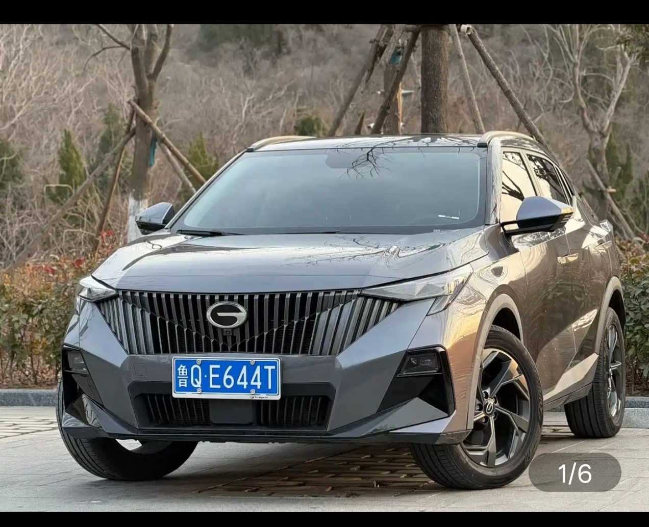 GAC Trumpchi GS3 2023 汽车图片 