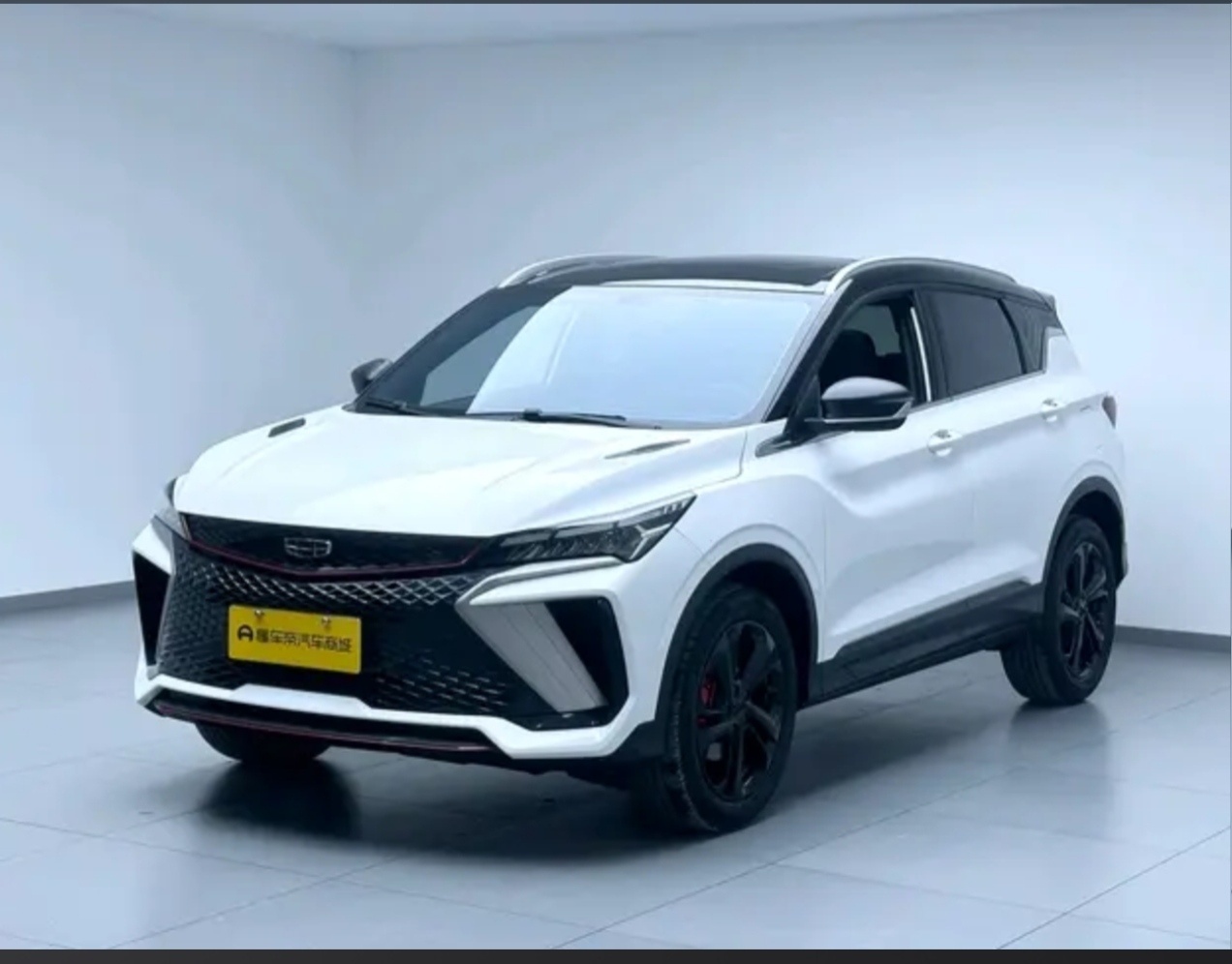GEELY Coolray 2023 immagine di auto 