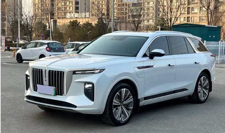 HongQi E-HS9 2023 car image #5