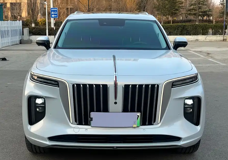HongQi E-HS9 2023 car image #7