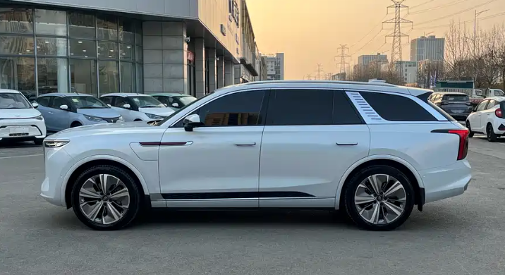 HongQi E-HS9 2023 car image #10