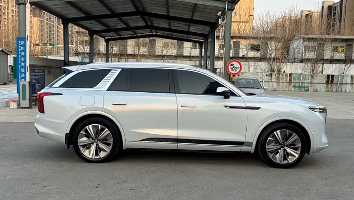 HongQi E-HS9 2023 car image #8