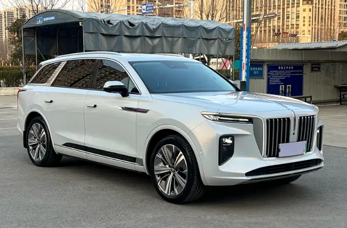 HongQi E-HS9 2023 car image #6