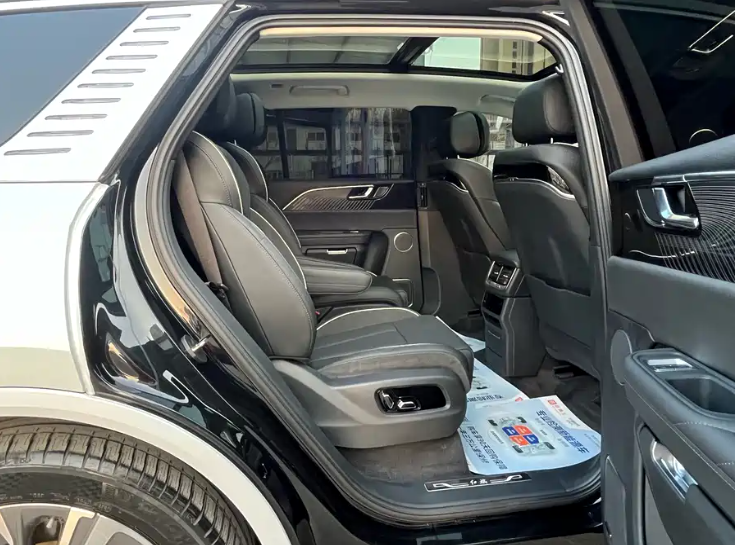 HongQi E-HS9 2023 car image #11