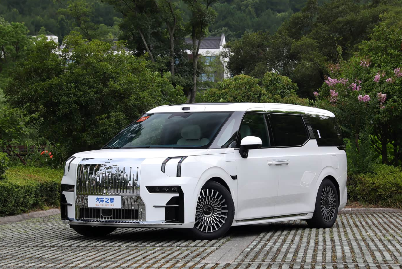 极氪 极氪009 2024 汽车图片 #3