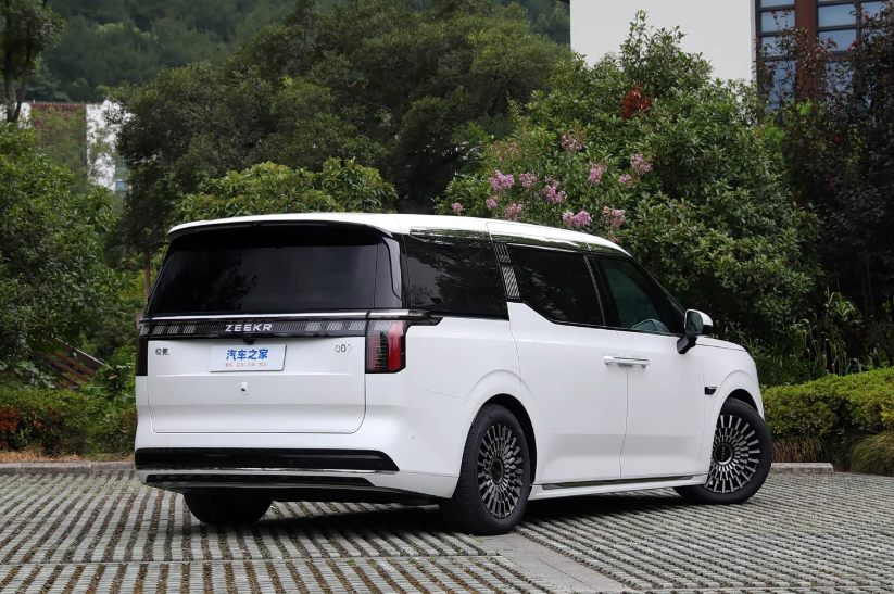 极氪 极氪009 2024 汽车图片 #2