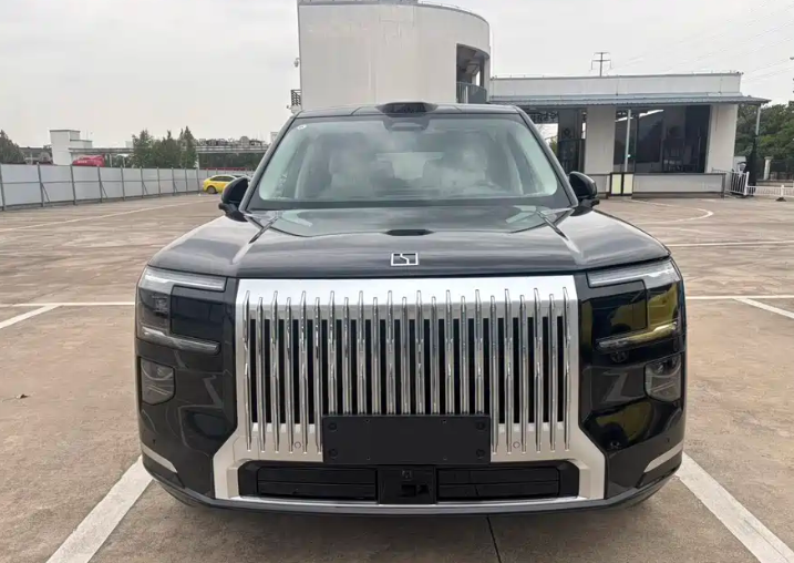 极氪 极氪9X 2025 汽车图片 #7