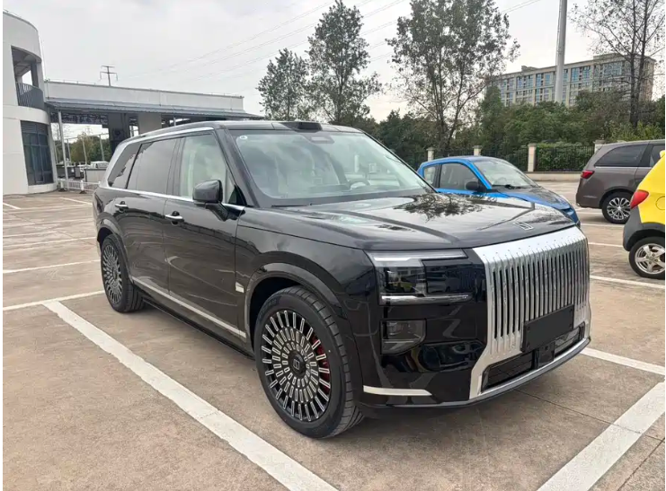 极氪 极氪9X 2025 汽车图片 #5