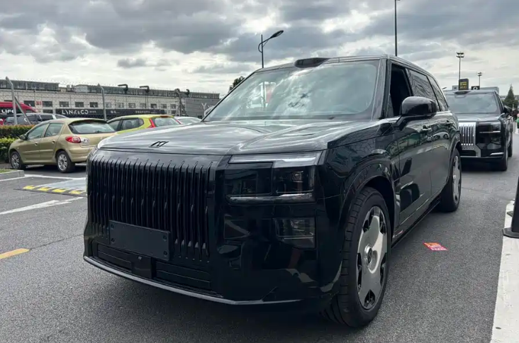 Zeekr 9X 2025 汽车图片 