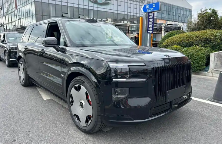 极氪 极氪9X 2025 汽车图片 #4