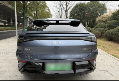 BYD Sea Lion 07 EV 2024 car image #5