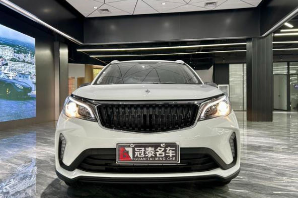 睿蓝汽车 睿蓝汽车X3 PRO 2025 汽车图片 #6