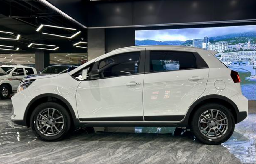 睿蓝汽车 睿蓝汽车X3 PRO 2025 汽车图片 #3