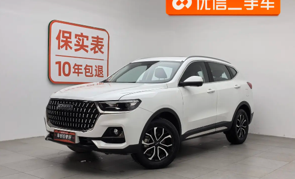 Haval H6 2023 汽车图片 