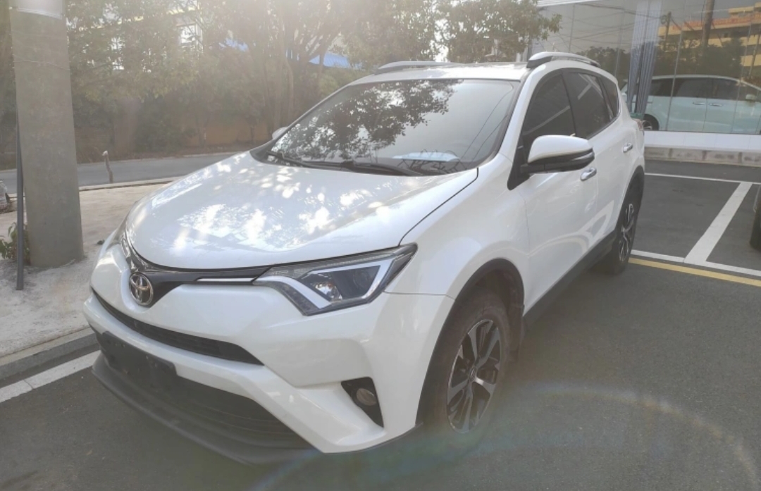Toyota RAV4 2019 Toyota RAV4 2019 car image