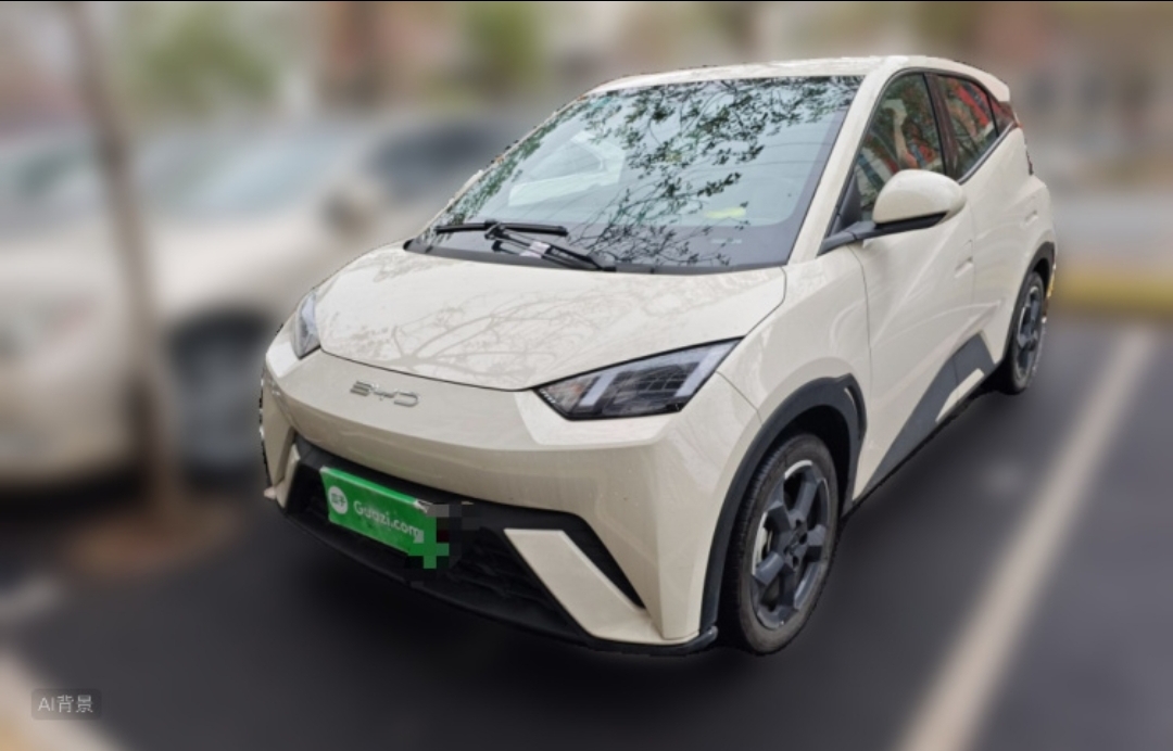 BYD Seagull 2023 car image 