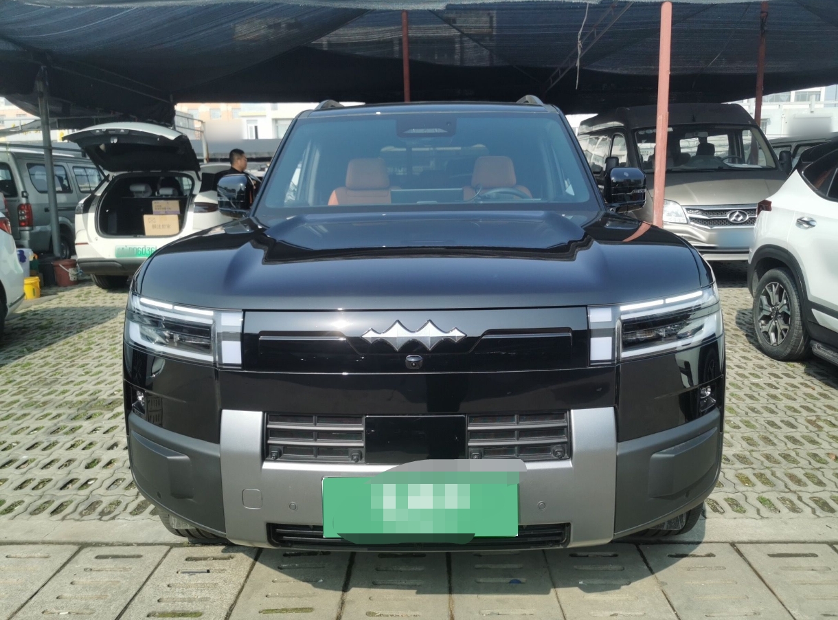 FangChengBao Tiger 7 2025 car image #10