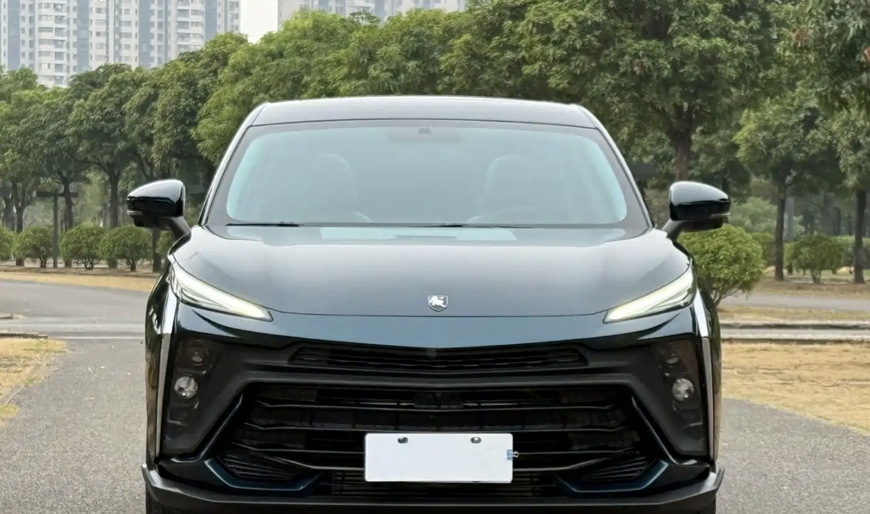Forthing T5 EVO 2024 #5 Forthing T5 EVO 2024 car image #5
